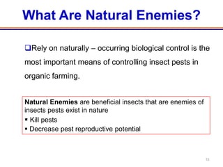 What Are Natural Enemies?

Rely on naturally – occurring biological control is the
most important means of controlling insect pests in
organic farming.


Natural Enemies are beneficial insects that are enemies of
insects pests exist in nature
 Kill pests
 Decrease pest reproductive potential



                                                             51
 