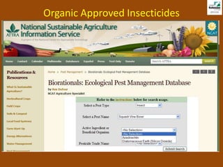 Organic Approved Insecticides
 