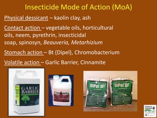 Insecticide Mode of Action (MoA)
Physical dessicant – kaolin clay, ash
Contact action – vegetable oils, horticultural
oils, neem, pyrethrin, insecticidal
soap, spinosyn, Beauveria, Metarhizium
Stomach action – Bt (Dipel), Chromobacterium
Volatile action – Garlic Barrier, Cinnamite
 