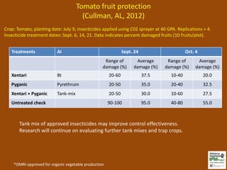 Tomato fruit protection
                                       (Cullman, AL, 2012)
Crop: Tomato, planting date: July 9, insecticides applied using C02 sprayer at 40 GPA. Replications = 4.
Insecticide treatment dates: Sept. 6, 14, 21. Data indicates percent damaged fruits (10 fruits/plot).


   Treatments             AI                                  Sept. 24                     Oct. 4
                                                   Range of         Average      Range of        Average
                                                  damage (%)       damage (%)   damage (%)      damage (%)
   Xentari                Bt                          20-60              37.5      10-40            20.0
   Pyganic                Pyrethrum                   20-50              35.0      20-40            32.5
   Xentari + Pyganic      Tank-mix                    20-50              30.0      10-60            27.5
   Untreated check                                    90-100             95.0      40-80            55.0



       Tank mix of approved insecticides may improve control effectiveness.
       Research will continue on evaluating further tank mixes and trap crops.




    *OMRI-approved for organic vegetable production
 