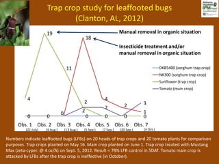 Organic Vegetable Pest Management Updates 2013