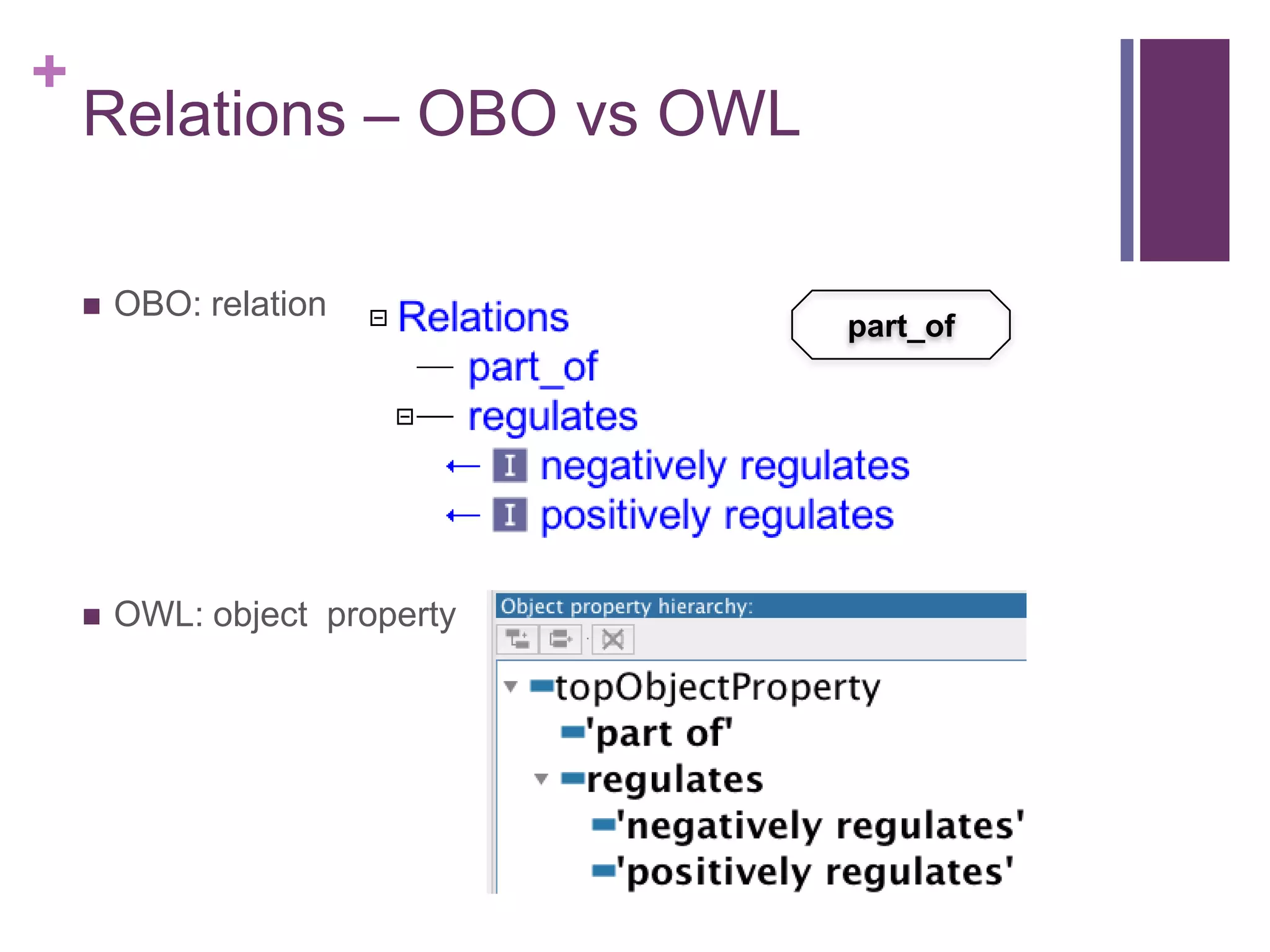 +
    Relations – OBO vs OWL

       OBO: relation
                               part_of




       OWL: object property
 