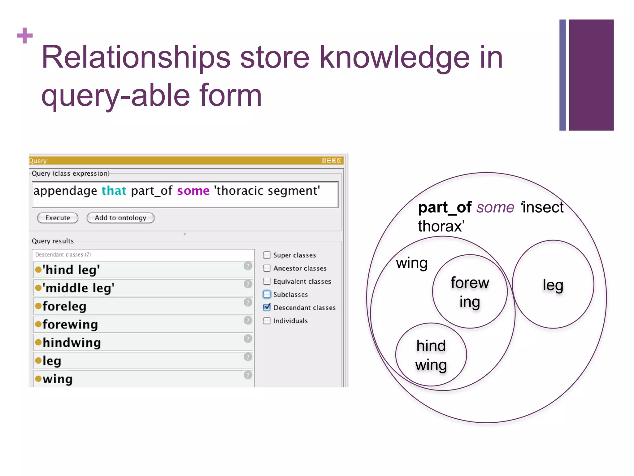 +
    Relationships store knowledge in
    query-able form


                              part_of some ‘insect
                              thorax‟

                            wing
                                     forew     leg
                                      ing

                              hind
                              wing
 