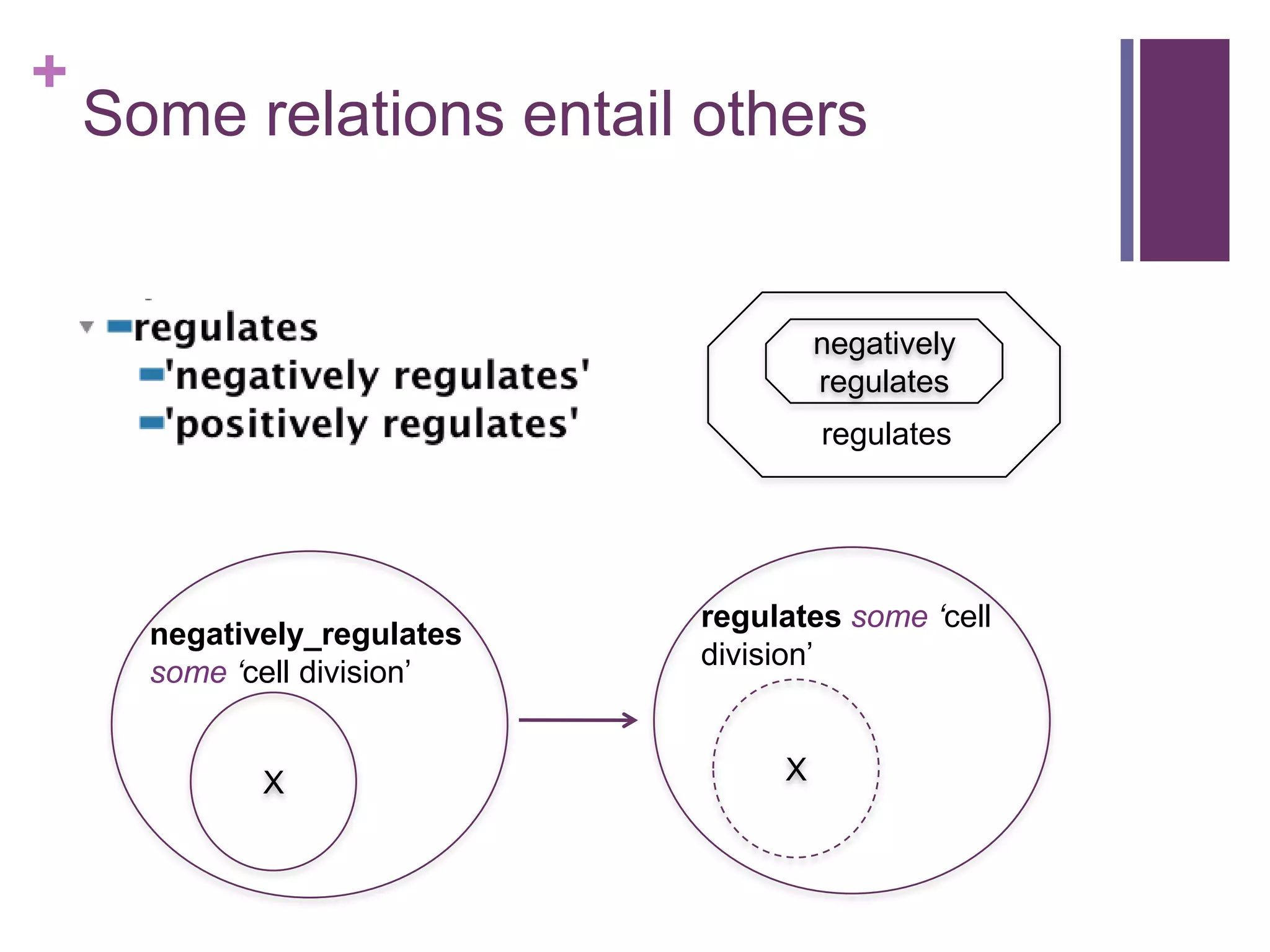 +
    Some relations entail others


                                      negatively
                                      regulates
                                      regulates




                             regulates some ‘cell
      negatively_regulates
                             division‟
      some ‘cell division‟


             X                    X
 