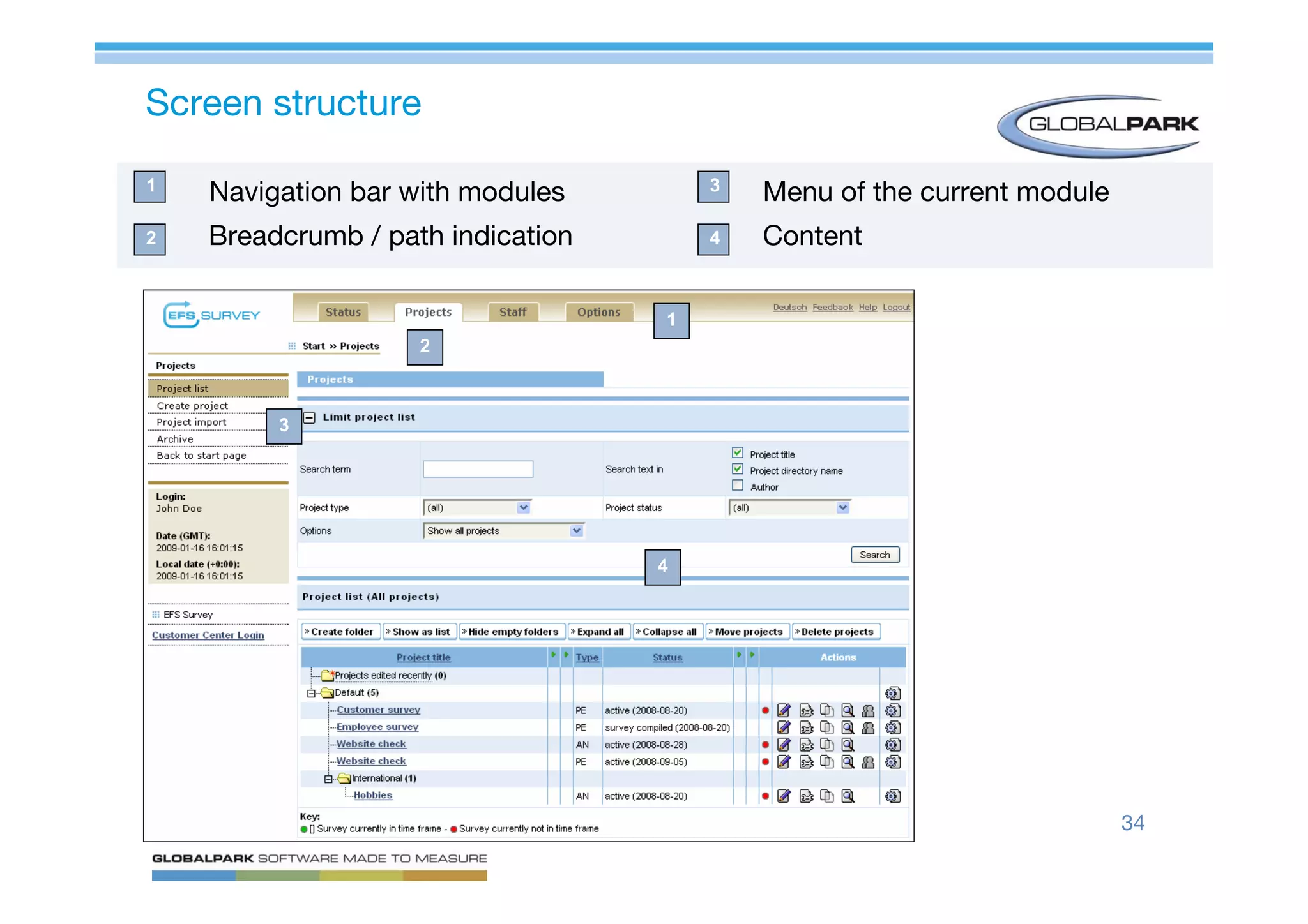 Mastering Online Surveys