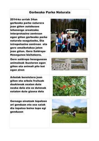 Gorbeako Parke Naturala 
2014-ko urriak 24an 
gorbeako parke naturera 
joan giñen autobuses 
lehenengo areatzako 
interpretazino zentroan 
egon giñan gorbeako parke 
naturala ezagutzeko, Eta 
intrepetazino zentroan eta 
gero amaiketakoa jaten 
joan giñan. Gero Saldropo 
Hesegunea bizitatzera. 
Gero saldropo hesegunean 
animaleak ikusteren egon 
giñen eta animali pilo bat 
egon ziren 
Arbolak bereistera joan 
giñen eta arbola fruituak 
daukienak esaten dute 
neska dela eta ez dutenak 
estaten dute gizona dela 
Geroago oinatzak topatzen 
ari genduan eta oso saiak 
dia topatea baina topa egi 
genduzan 
 