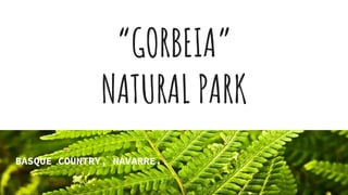 “GORBEIA”
NATURAL PARK
BASQUE COUNTRY, NAVARRE.
 
