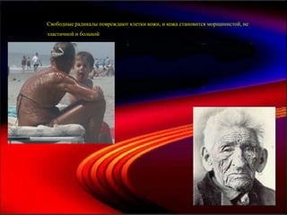Свободные радикалы повреждают клетки кожи, и кожа становится морщинистой, не
эластичной и больной
 