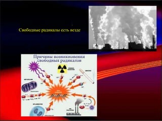 Свободные радикалы есть везде
 