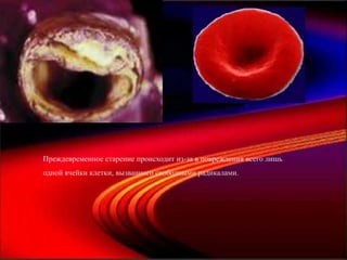 Преждевременное старение происходит из-за в повреждения всего лишь
одной ячейки клетки, вызванного свободными радикалами.
 