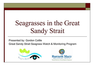 Seagrasses in the Great Sandy Strait Presented by: Gordon Cottle Great Sandy Strait Seagrass Watch & Monitoring Program 