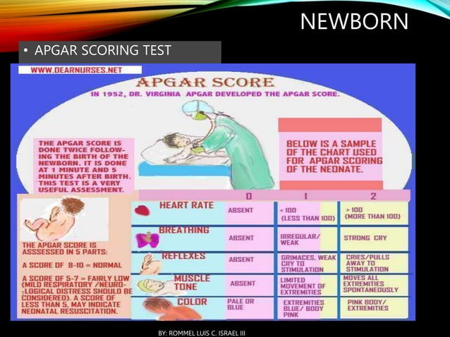 GORDON'S 11 FUNCTIONAL PATTERN-Health Assessment.pptx
