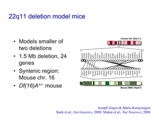 Joshua Gordon - Studying Psychosis in 22q11 Deletion Syndrome | PDF