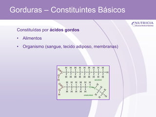 Gorduras – Constituintes Básicos  Constituídas por  ácidos gordos Alimentos Organismo (sangue, tecido adiposo, membranas) 