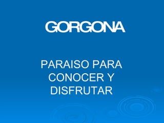 GORGONA PARAISO PARA CONOCER Y DISFRUTAR 