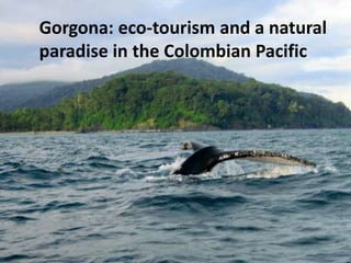 Gorgona: eco-tourism and a natural
paradise in the Colombian Pacific

 