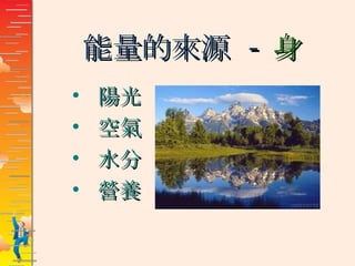 能量的來源  - 身 陽光 空氣 水分 營養 