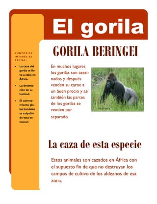 En muchos lugares
los gorilas son asesi-
nados y después
venden su carne a
un buen precio y así
también las partes
de los gorilas se
venden por
separado.
Estos animales son cazados en África con
el supuesto fin de que no destruyan los
campos de cultivo de los aldeanos de esa
zona.
GORILA BERINGEI
La caza de esta especie
El gorila2 5 D E M A R Z O D E 2 0 1 4
P U N T O S D E
I N T E R É S E S -
P E C I A L :
 La caza del
gorila se lle-
va a cabo en
África.
 La destruc-
ción de su
habitad.
 El calenta-
miento glo-
bal también
es culpable
de esta ex-
tinción
 