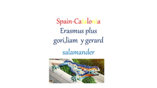Spain-Catalonia
Erasmus plus
gori,liam y gerard
salamander
 