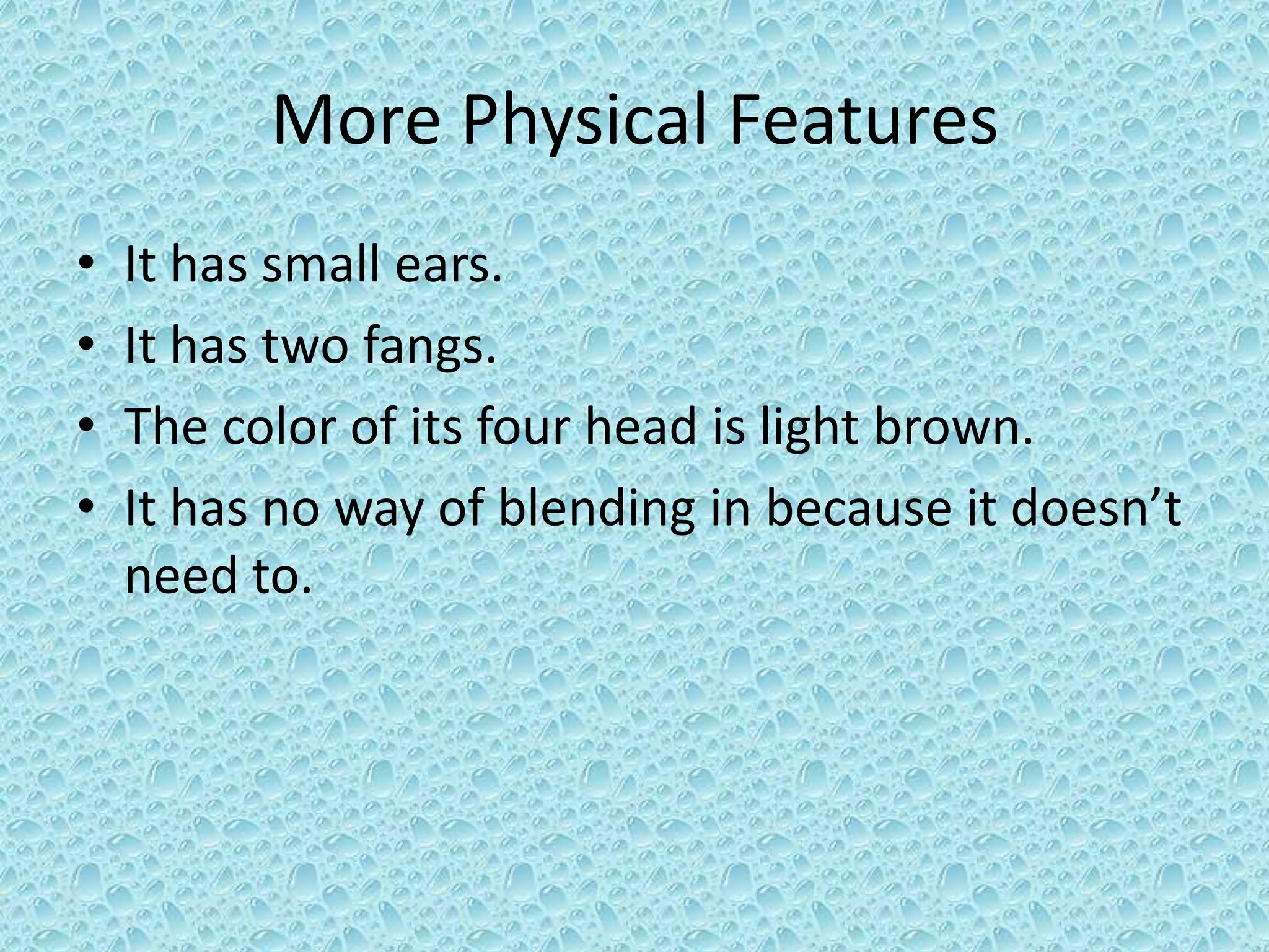 More Physical FeaturesIt has small ears.It has two fangs.The color of its four head is light brown.It has no way of blending in because it doesn’t need to.