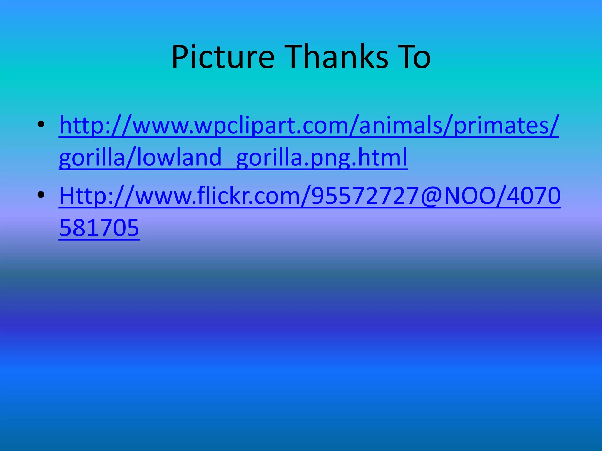 Picture Thanks Tohttp://www.wpclipart.com/animals/primates/gorilla/lowland_gorilla.png.htmlHttp://www.flickr.com/95572727@NOO/4070581705