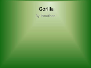 Gorilla By Jonathan 