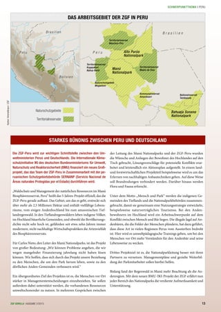 waltung zusammen. Deren An-
Ehre für uns. So wollen wir
dieser großartigen Region si-
rte Projekt ...................xxx....
chtung und unterstreicht das
ten Perus.
ALBE SEITE ÜBERSICHTSKAR
P e ru
Brasilien
Bolivien
P e r u
B r a s i l i e n
Alto Purús
Nationalpark
Manú
Nationalpark
Bahuaja Sonene
Nationalpark
Nationalreservat
Tambopata
Kommunalreservat
Amarakaeri
Naturschutzgebiet
Megantoni
Territorialreservat
Maschco-Piro
Territorialreservat
Kugapakori
Nahua Nanti
Territorialreservat
Madre de Dios
Naturschutzgebiete
Territorialreservate
DAS ARBEITSGEBIET DER ZGF IN PERU
Karten:himmelbraun/ZGF
Die ZGF-Peru wird zur wichtigen Schnittstelle zwischen den Um-
weltministerien Perus und Deutschlands. Die Internationale Klima-
schutzinitiative IKI des deutschen Bundesministeriums für Umwelt,
Naturschutz und Reaktorsicherheit (BMU) finanziert ein neues Groß-
projekt, das das Team der ZGF-Peru in Zusammenarbeit mit der pe-
ruanischen Schutzgebietsbehörde SERNANP (Servicio Nacional de
Áreas naturales Protegidas por el Estado) durchführen wird.
„Waldschutz und Management der natürlichen Ressourcen im Manú
Biosphärenreservat, Peru“ heißt das 5-Jahres-Projekt offiziell, das die
ZGF-Peru gerade aufbaut. Das Gebiet, um das es geht, erstreckt sich
über mehr als 2,5 Millionen Hektar und enthält vielfältige Lebens-
räume, vom eisigen Andenhochland bis zum amazonischen Tief-
landregenwald. In den Tieflandregenwäldern leben indigene Völker,
im Hochland bäuerliche Gemeinden, und obwohl die Bevölkerungs-
dichte nicht sehr hoch ist, gefährden seit etwa zehn Jahren immer
modernere, nicht nachhaltige Wirtschaftspraktiken die Artenvielfalt
des Biosphärenreservats.
Für Carlos Nieto, den Leiter des Manú Nationalparks, ist das Projekt
von großer Bedeutung: „Wir können Probleme angehen, die wir
wegen mangelnder Finanzierung jahrelang nicht haben lösen
können. Wir hoffen, dass sich durch das Projekt unsere Beziehung
zu den Menschen, die um den Park herum leben, sowie zu den
dörflichen Anden-Gemeinden verbessern wird.“
Ein übergeordnetes Ziel des Projektes ist es, die Menschen vor Ort
stärker in Managemententscheidungen einzubeziehen. Sie sollen
außerdem dabei unterstützt werden, die vorhandenen Ressourcen
umweltschonender zu nutzen. In mehreren Gesprächen zwischen
der Leitung des Manú Nationalparks und der ZGF-Peru wurden
die Wünsche und Anliegen der Bewohner des Hochlandes auf den
Tisch gebracht, Lösungsvorschläge für potenzielle Konflikte erar-
beitet und letztendlich ein Aktionsplan aufgestellt. In einem land-
und forstwirtschaftlichen Projektteil beispielsweise wird es um das
Erlernen von nachhaltigen Anbautechniken gehen. Auf diese Weise
soll Brandrodungen verhindert werden. Darüber hinaus werden
Flora und Fauna erforscht.
Unter dem Motto „Mensch und Park“ werden die indigenen Ge-
meinden des Tieflands und die Nationalparkbehörden zusammen-
gebracht, damit sie gemeinsam eine Nutzungsstrategie entwickeln,
beispielsweise naturverträglichen Tourismus. Bei den Anden-
bewohnern im Hochland wird ein Arbeitsschwerpunkt auf dem
Konflikt zwischen Mensch und Bär liegen. Die illegale Jagd auf An-
denbären, die die Felder der Menschen plündern, hat dazu geführt,
dass diese Art in vielen Regionen Perus vom Aussterben bedroht
ist. Hier wird es umweltpädagogische Trainings geben, um bei den
Menschen vor Ort mehr Verständnis für den Andenbär und seine
Lebensweise zu wecken.
Drittes Projektziel ist es, die Nationalparkleitung besser mit ihren
Partnern zu vernetzen. Managementpläne und gezielte Weiterbil-
dung der Parkmitarbeiter sollen hierbei helfen.
Bislang fand der Regenwald in Manú mehr Beachtung als die An-
denregion. Mit dem neuen BMU-IKI-Projekt der ZGF erfährt nun
jeder Bereich des Nationalparks die verdiente Aufmerksamkeit und
Unterstützung.
STARKES BÜNDNIS ZWISCHEN PERU UND DEUTSCHLAND
13ZGF GORILLA | AUSGABE 2/2013 13
SCHWERPUNKTTHEMA | PERU
 