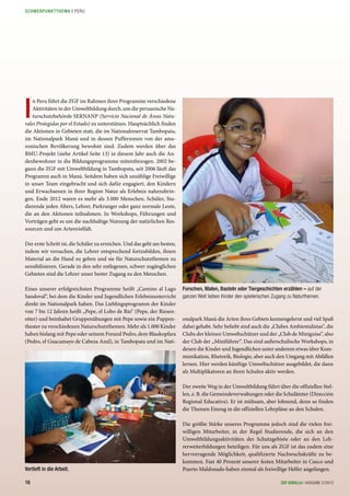 I
n Peru führt die ZGF im Rahmen ihrer Programme verschiedene
Aktivitäten in der Umweltbildung durch, um die peruanische Na-
turschutzbehörde SERNANP (Servicio Nacional de Áreas Natu-
rales Protegidas por el Estado) zu unterstützen. Hauptsächlich finden
die Aktionen in Gebieten statt, die im Nationalreservat Tambopata,
im Nationalpark Manú und in dessen Pufferzonen von der ama-
zonischen Bevölkerung bewohnt sind. Zudem werden über das
BMU-Projekt (siehe Artikel Seite 13) in diesem Jahr auch die An-
denbewohner in die Bildungsprogramme miteinbezogen. 2002 be-
gann die ZGF mit Umweltbildung in Tambopata, seit 2006 läuft das
Programm auch in Manú. Seitdem haben sich unzählige Freiwillige
in unser Team eingebracht und sich dafür engagiert, den Kindern
und Erwachsenen in ihrer Region Natur als Erlebnis nahezubrin-
gen. Ende 2012 waren es mehr als 3.000 Menschen, Schüler, Stu-
dierende jeden Alters, Lehrer, Parkranger oder ganz normale Leute,
die an den Aktionen teilnahmen. In Workshops, Führungen und
Vorträgen geht es um die nachhaltige Nutzung der natürlichen Res-
sourcen und um Artenvielfalt.
Der erste Schritt ist, die Schüler zu erreichen. Und das geht am besten,
indem wir versuchen, die Lehrer entsprechend fortzubilden, ihnen
Material an die Hand zu geben und sie für Naturschutzthemen zu
sensibilisieren. Gerade in den sehr entlegenen, schwer zugänglichen
Gebieten sind die Lehrer unser bester Zugang zu den Menschen.
Eines unserer erfolgreichsten Programme heißt „Camino al Lago
Sandoval“, bei dem die Kinder und Jugendlichen Erlebnisunterricht
direkt im Nationalpark haben. Das Lieblingsprogramm der Kinder
von 7 bis 12 Jahren heißt „Pepe, el Lobo de Río“ (Pepe, der Riesen-
otter) und beinhaltet Gruppenübungen mit Pepe sowie ein Puppen-
theater zu verschiedenen Naturschutzthemen. Mehr als 1.000 Kinder
haben bislang mit Pepe oder seinem Freund Pedro, dem Blaukopfara
(Pedro, el Guacamayo de Cabeza Azul), in Tambopata und im Nati-
onalpark Manú die Arten ihres Gebiets kennengelernt und viel Spaß
dabei gehabt. Sehr beliebt sind auch die „Clubes Ambientalistas“, die
Clubs der kleinen Umweltschützer und der „Club de Miniguías“, also
der Club der „Miniführer“. Das sind außerschulische Workshops, in
denen die Kinder und Jugendlichen unter anderem etwas über Kom-
munikation, Rhetorik, Biologie, aber auch den Umgang mit Abfällen
lernen. Hier werden künftige Umweltschützer ausgebildet, die dann
als Multiplikatoren an ihren Schulen aktiv werden.
Der zweite Weg in der Umweltbildung führt über die offiziellen Stel-
len, z. B. die Gemeindeverwaltungen oder die Schulämter (Dirección
Regional Educativa). Er ist mühsam, aber lohnend, denn so finden
die Themen Einzug in die offiziellen Lehrpläne an den Schulen.
Die größte Stärke unseres Programms jedoch sind die vielen frei-
willigen Mitarbeiter, in der Regel Studierende, die sich an den
Umweltbildungsaktivitäten der Schutzgebiete oder an den Leh-
rerweiterbildungen beteiligen. Für uns als ZGF ist das zudem eine
hervorragende Möglichkeit, qualifizierte Nachwuchskräfte zu be-
kommen. Fast 40 Prozent unserer festen Mitarbeiter in Cusco und
Puerto Maldonado haben einmal als freiwillige Helfer angefangen.
Forschen, Malen, Basteln oder Tiergeschichten erzählen – auf der
ganzen Welt lieben Kinder den spielerischen Zugang zu Naturthemen.
Vertieft in die Arbeit.
16 ZGF GORILLA | AUSGABE 2/2013
SCHWERPUNKTTHEMA | PERU
 