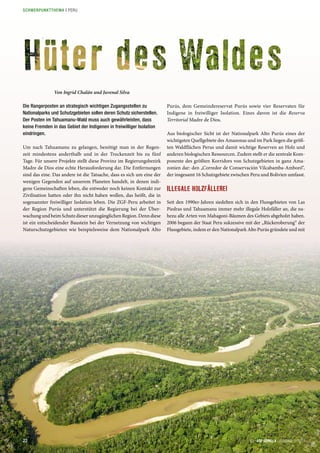 Die Rangerposten an strategisch wichtigen Zugangsstellen zu
Nationalparks und Schutzgebieten sollen deren Schutz sicherstellen.
Der Posten im Tahuamanu-Wald muss auch gewährleisten, dass
keine Fremden in das Gebiet der Indigenen in freiwilliger Isolation
eindringen.
Um nach Tahuamanu zu gelangen, benötigt man in der Regen-
zeit mindestens anderthalb und in der Trockenzeit bis zu fünf
Tage. Für unsere Projekte stellt diese Provinz im Regierungsbezirk
Madre de Dios eine echte Herausforderung dar. Die Entfernungen
sind das eine. Das andere ist die Tatsache, dass es sich um eine der
wenigen Gegenden auf unserem Planeten handelt, in denen indi-
gene Gemeinschaften leben, die entweder noch keinen Kontakt zur
Zivilisation hatten oder ihn nicht haben wollen, das heißt, die in
sogenannter freiwilliger Isolation leben. Die ZGF-Peru arbeitet in
der Region Purús und unterstützt die Regierung bei der Über-
wachungundbeimSchutzdieserunzugänglichenRegion.Denndiese
ist ein entscheidender Baustein bei der Vernetzung von wichtigen
Naturschutzgebieten wie beispielsweise dem Nationalpark Alto
Von Ingrid Chalán und Juvenal Silva
Purús, dem Gemeindereservat Purús sowie vier Reservaten für
Indigene in freiwilliger Isolation. Eines davon ist die Reserva
Territorial Madre de Dios.
Aus biologischer Sicht ist der Nationalpark Alto Purús eines der
wichtigsten Quellgebiete des Amazonas und im Park liegen die größ-
ten Waldflächen Perus und damit wichtige Reserven an Holz und
anderen biologischen Ressourcen. Zudem stellt er die zentrale Kom-
ponente des größten Korridors von Schutzgebieten in ganz Ama-
zonien dar: den „Corredor de Conservación Vilcabamba-Amboró“,
der insgesamt 16 Schutzgebiete zwischen Peru und Bolivien umfasst.
ILLEGALE HOLZFÄLLEREI
Seit den 1990er-Jahren siedelten sich in den Flussgebieten von Las
Piedras und Tahuamanu immer mehr illegale Holzfäller an, die na-
hezu alle Arten von Mahagoni-Bäumen des Gebiets abgeholzt haben.
2006 begann der Staat Peru sukzessive mit der „Rückeroberung“ der
Flussgebiete, indem er den Nationalpark Alto Purús gründete und mit
ZGF GORILLA | AUSGABE 2/201322
SCHWERPUNKTTHEMA | PERU
 