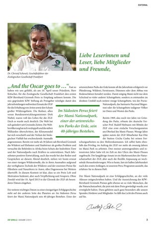 artenreichsten Parks der Erde konnte all die Jahrzehnte erfolgreich vor
Plünderung, Wilderei, Ferntrassen, Dämmen oder dem Abbau von
Bodenschätzen bewahrt werden. Damit entging Manú nicht nur dem
Schicksal so vieler anderer Schutzgebiete, sondern es entstanden im
direkten Umfeld noch weitere riesige Schutzgebiete, wie der Purús-
Nationalpark, das Santuario Nacional Megan-
toni oder die Schutzgebiete indigener Völker
im Osten und Westen des Parks.
Bereits 1969, also noch vier Jahre vor Grün-
dung des Parks, erbaute der deutsche For-
scher Prof. Rudolf Hofmann mit Mitteln der
ZGF eine erste einfache Forschungsstation
am Oberlauf des Manú-Flusses. Wenige Jahre
später nutzte der ZGF-Mitarbeiter Kai Otte
die Station Cocha Cashu bei seinen For-
schungsarbeiten zu den Mohrenkaimanen. Ich selbst hatte eben-
falls das Privileg, im Auftrag der ZGF vor mehr als zwanzig Jahren
im Manú Park zu arbeiten. Drei meiner anstrengendsten und in-
tensivsten Jahre habe ich im Zelt an den Ufern des Manú-Flusses
zugebracht. Der langjährige Ansatz ist ein Markenzeichen der Natur-
schutzarbeit der ZGF, aber auch die flexible Anpassung an wech-
selnde Herausforderungen. Wie es heute, fast ein halbes Jahrhundert
nach den ersten Anfängen, in unserem Peru-Programm aussieht, das
erfahren Sie in diesem Heft.
Der Manú Nationalpark ist eine Erfolgsgeschichte, an der viele
Akteure mitgeschrieben haben. Und die Auszeichnung des KfW-
Bernhard-Grzimek-Preises geht ebenso an so viele Menschen, die
die Naturschutzarbeit, die jetzt mit dem Preis gewürdigt wurde, erst
ermöglicht haben. Dazu gehören auch ganz besonders alle unsere
Spender, Förderer und Mitglieder. So fällt das Licht des Preises auch
auf Sie.
„And the Oscar goes to …“Fast so
haben wir uns gefühlt, als am 10. April unser Präsident, Herr
Kittscher, für die Zoologische Gesellschaft Frankfurt den ersten
KfW-Bernhard-Grzimek-Preis in Empfang nehmen konnte. Die
neu gegründete KfW Stiftung als Preisgeber würdigte damit den
jahrzehntelangenweltweitenEinsatzderZGF
fürdieErhaltungvonArtensowiedenSchutz
großer Wildnisgebiete. Die Redner, allen
voran Bundesentwicklungsminister Dirk
Niebel, waren voll des Lobes für die ZGF.
Doch es wurde auch deutlich: Die Welt hat
sich geändert seit Grzimeks Zeiten: Die Welt-
bevölkerunghatsichverdoppeltunddiesieben
Milliarden überschritten, der Klimawandel
hat sich verschärft und der Verlust der biolo-
gischen Vielfalt hat erschreckende Ausmaße
angenommen. Bereits vor mehr als 30 Jahren sah Bernhard Grzimek
die Wilderei auf Elefanten und Nashörner als großes Problem und
versuchte die Behörden in Afrika beim Schutz der bedrohten Tiere
und der Nationalparks nach Kräften zu unterstützen. Nach Jahr-
zehnten positiver Entwicklung, auch das wurde bei den Reden und
Gesprächen an diesem Abend deutlich, stehen wir heute erneut
vor einer riesigen Wildereiwelle, die in ihren Ausmaßen aufgrund
der verfügbaren Technik der Wilderer und der enormen Preise für
Elfenbein und Nasenhorn in Asien, alles Dagewesene bei Weitem
übertrifft. In diesem Kontext ist klar, dass so ein Preis Lob und
Motivation bedeutet, aber auch Verpflichtung und Ansporn. Ohne
Zweifel wird der 10. April 2013 in die Chronik der ZGF als beson-
deres Datum eingehen.
Ein weiteres wichtiges Datum zu einer einzigartigen Erfolgsgeschichte
steht auf der anderen Seite des Planeten an: Im Südosten Perus
feiert der Manú Nationalpark sein 40-jähriges Bestehen. Einer der
Dr. Christof Schenck, Geschäftsführer der
Zoologischen Gesellschaft Frankfurt
Liebe Leserinnen und
Leser, liebe Mitglieder
und Freunde,
Im Südosten Perus feiert
der Manú Nationalpark,
einer der artenreichs-
ten Parks der Erde, sein
40-jähriges Bestehen.
3ZGF GORILLA | AUSGABE 2/2013
EDITORIAL
 