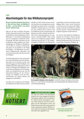 RHÖN
Abschiedsgala für das Wildkatzenprojekt
Mit einer feierlichen Abschluss-Gala ging am
21. März 2013 das Projekt „Die Wildkatze in
der Rhön – auf leisen Pfoten in eine sichere
Zukunft“ offiziell zu Ende.
Mehr als 150 Gäste aus Politik, Wirtschaft,
Medien, Naturschutz und Forst sowie Bürger
ausderRhönwarenderEinladungdesVereins
RhönNatur e. V., der Allianz Umweltstiftung
und der Zoologischen Gesellschaft Frank-
furt gefolgt. Fünf Jahre lang hatten sich die
Projektpartner dafür eingesetzt, die Lebens-
bedingungen der Wildkatze im Biosphären-
reservat Rhön zu verbessern. Während der
Gala gaben sie nun Einblick in die Erfolge
des Projektes – mit Bildershows zum natur-
nahen Wildkatzenwald, Talkrunden und
einem beeindruckenden Film über das Leben
der Wildkatze.
Für Michael Brombacher, den Vorsitzenden
des Vereins RhönNatur und ZGF-Referats-
leiter geht zwar ein Projekt zu Ende, nicht
aberdasEngagementfürdieWildkatze:„Das
Wildkatzenprojekt ist abgeschlossen, aber es
findet eine Übergabe des Staffelstabes statt:
an die Forstverwaltungen, die Verwaltungs-
stellen des Biosphärenreservates und die
Naturparkverwaltung, die die Untersu-
chungen zur Wildkatze sowie die Infor-
mationsarbeit mit eigenen Mitteln und
Engagement weiterführen.“
Seit 2007 waren im Rahmen des Projektes
die Wildkatzen der Rhön erforscht worden.
Mithilfe von DNA-Proben konnten 26 Kat-
zen identifiziert und nachgewiesen werden.
Die Ergebnisse deuten auf vier verschiedene
Wildkatzen-Teilpopulationen in der Rhön
hin. Das wiederum lässt vermuten, dass
die Wildkatzen bei ihren Wanderungen auf
Hindernisse stoßen. Deshalb entstand mit-
hilfe eines Computerprogramms ein soge-
nanntes „Korridor-Modell“. Dabei wurde
erfasst, wo für Wildkatzen geeignete Wälder
vorhanden sind. Das sind u. a. der Truppen-
übungsplatz Wildflecken, die Osthänge der
Langen Rhön, die Schwarzen Berge und die
Kuppige Rhön. Dann wurde untersucht,
wo die Katzen durch strukturreiche Wälder,
entlang von Hecken und Gebüschen und über
extensiv genutzte Landwirtschaftsflächen
möglichst ungestört wandern können.
Ein weiterer Schwerpunkt des Wildkatzen-
projektes war die aktive Verbesserung des
Lebensraums der Wildkatze sowie die Auf-
klärung und Information über Felis silvestris,
unsere scheue Europäische Wildkatze.
NATIONALPARKS WELTWEIT
Wie wild und natürlich sind Nationalparks
wirklich? In der neuen Ausgabe der Zeitschrift
Nationalpark vergleicht ZGF-Geschäftsführer
Dr. Christof Schenck Nationalparks in Ame-
rika, Afrika und Europa. Er kommt zu dem Er-
gebnis, dass die Nationalparks in Nord- und
Südamerika am ehesten dem Anspruch gerecht
werden, großräumig natürliche Abläufe zu si-
chern, während in europäischen Nationalparks
nicht selten stark eingegriffen wird.
Ú www.oekom.de/zeitschriften/
nationalpark/aktuelles-heft
Foto:CarstenBraun
Die Europäische Wildkatze (Felis silvestris) ist in der Rhön zuhause. Das Projekt zu ihrem Schutz
liegt nun u. a. in der Hand der Forstverwaltungen, der Verwaltungsstellen des Biosphärenreservates
und der Naturparkverwaltung.
Wie
wirk
Nati
Dr. C
rika,
gebn
Süda
werd
h
8 ZGF GORILLA | AUSGABE 2/2013
AKTUELLES WELTWEIT
 