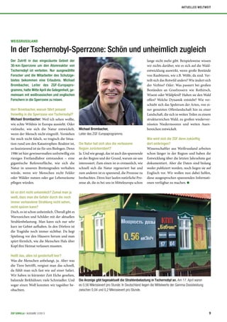 WEISSRUSSLAND
In der Tschernobyl-Sperrzone: Schön und unheimlich zugleich
Der Zutritt in das eingezäunte Gebiet der
30-km-Sperrzone um den Atomreaktor von
Tschernobyl ist verboten. Nur ausgewählte
Forscher und die Mitarbeiter des Schutzge-
bietes bekommen eine Erlaubnis. Michael
Brombacher, Leiter des ZGF-Europapro-
gramms, hatte Mitte April die Gelegenheit, ge-
meinsam mit weißrussischen und englischen
Forschern in die Sperrzone zu reisen.
Herr Brombacher, warum fährt jemand
freiwillig in die Sperrzone von Tschernobyl?
Michael Brombacher: Weil ich sehen wollte,
wie echte Wildnis in Europa aussieht. Oder
vielmehr, wie sich die Natur entwickelt,
wenn der Mensch nicht eingreift. Verstehen
Sie mich nicht falsch, so tragisch die Situa-
tion rund um den Katastrophen-Reaktor ist,
so faszinierend ist sie für uns Biologen. Denn
1986 ist hier gewissermaßen unfreiwillig ein
riesiges Freilandlabor entstanden – eine
gigantische Referenzfläche, wie sich die
Natur in unseren Breitengraden verhalten
würde, wenn wir Menschen nicht Felder
oder Wälder nutzen oder gar Lebensräume
pflegen würden.
Ist es dort nicht unheimlich? Zumal man ja
weiß, dass man die Gefahr durch die noch
immer vorhandene Strahlung nicht sehen,
nicht spüren kann?
Doch, es ist schon unheimlich. Überall gibt es
Warnzeichen und Schilder mit der aktuellen
Strahlenbelastung. Man kann sich nur sehr
kurz im Gebiet aufhalten. In den Dörfern ist
die Tragödie noch immer sichtbar. Da liegt
Spielzeug vor den Häusern herum und man
spürt förmlich, wie die Menschen Hals über
Kopf ihre Heimat verlassen mussten.
Heißt das, alles ist geisterhaft leer?
Was die Menschen anbelangt, ja. Aber was
die Tiere betrifft, vergisst man das schnell,
da fühlt man sich fast wie auf einer Safari.
Wir haben in kürzester Zeit Elche gesehen,
balzende Birkhühner, viele Schreiadler. Und
sogar einen Wolf konnten wir tagsüber be-
obachten.
Die Natur hat sich also die verlassene
Region zurückerobert?
Ja. Und wie gesagt, das ist auch das spannende
an der Region und der Grund, warum sie uns
interessiert. Zum einen ist es erstaunlich, wie
schnell sich die Natur regeneriert hat und
zum anderen ist es spannend, die Prozesse zu
beobachten. Denn hier laufen natürliche Pro-
zesse ab, die es bei uns in Mitteleuropa schon
lange nicht mehr gibt. Beispielsweise wissen
wir nichts darüber, wie es sich auf die Wald-
entwicklung auswirkt, wenn große Bestände
von Raubtieren, wie z.B. Wölfe, da sind. Ver-
teilt sich das Rotwild anders? Wie ändert sich
der Verbiss? Oder: Was passiert bei großen
Beständen an Grasfressern wie Rothirsch,
Wisent oder Wildpferd? Halten sie den Wald
offen? Welche Dynamik entsteht? Wie ver-
schiebt sich das Spektrum der Arten, von ei-
ner genutzten Offenlandschaft hin zu einer
Landschaft, die sich in weiten Teilen zu einem
strukturreichen Wald, zu großen wiederver-
nässten Niedermooren und weiten Auen-
bereichen entwickelt.
Wie wird sich die ZGF denn zukünftig
dort einbringen?
Wissenschaftler aus Weißrussland arbeiten
schon länger in der Region und haben die
Entwicklung über die letzten Jahrzehnte gut
dokumentiert. Aber die Daten sind bislang
weder publiziert worden, noch liegen sie auf
Englisch vor. Wir wollen nun dabei helfen,
diese ausgesprochen spannenden Informati-
onen verfügbar zu machen.
Die Anzeige gibt tagesaktuell die Strahlenbelastung in Tschernobyl an. Am 17. April waren
es 0,56 Mikrosievert pro Stunde. In Deutschland liegen die Mittelwerte der Gamma-Dosisleistung
zwischen 0,04 und 0,2 Mikrosievert pro Stunde.
Michael Brombacher,
Leiter des ZGF-Europaprogramms
9ZGF GORILLA | AUSGABE 2/2013
AKTUELLES WELTWEIT
 