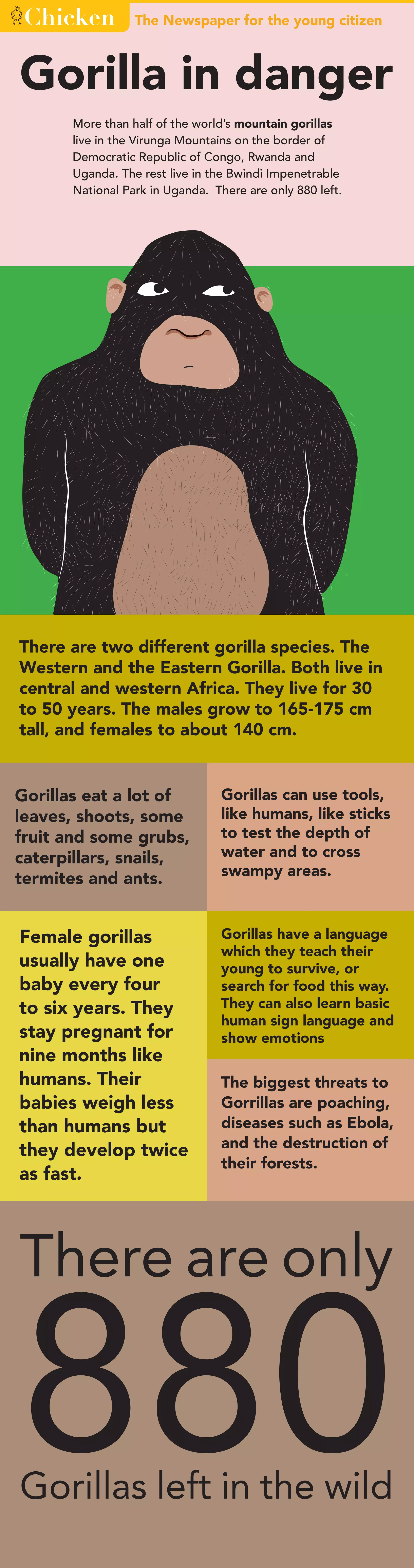 Gorilla in Trouble | PDF