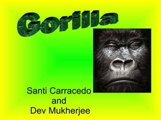 Santi Carracedo  and  Dev Mukherjee Gorilla 
