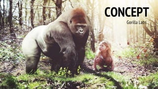 CONCEPT
Gorilla Labs
 