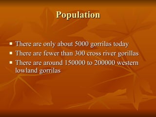 Population There are only about 5000 gorrilas today There are fewer than 300 cross river gorillas There are around 150000 to 200000 western lowland gorrilas 