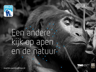 Gorillas In The Cloud
• Leren Observeren
martin.vanrijn@tno.nl
 