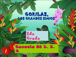 GORILAS,

LOS GRANDES SIMIOS

2do
Grado
Escuela 28 D. E.
4

 