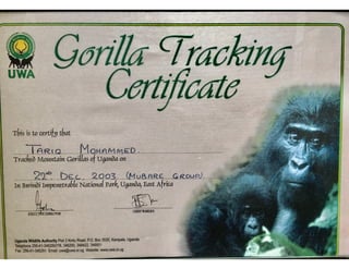 Gorilla Tracking Certificate