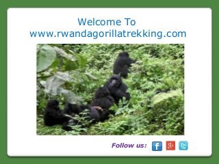 Welcome To 
www.rwandagorillatrekking.com 
Follow us: 
 