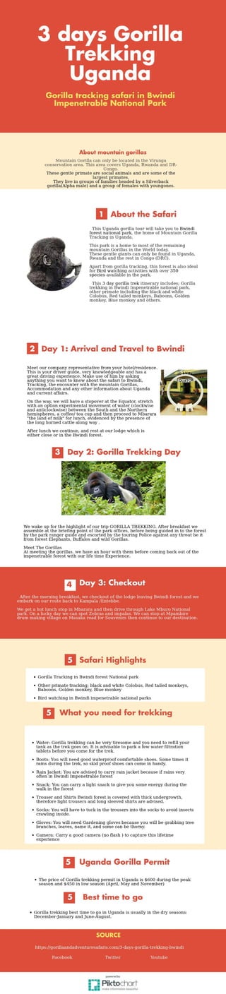 Gorilla trekking Uganda Safari (3 days) in Bwindi Impenetrable National ...