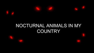 NOCTURNAL ANIMALS IN MY
COUNTRY
 