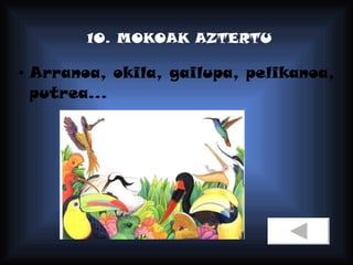 10. MOKOAK AZTERTU Arranoa, okila, gailupa, pelikanoa, putrea... 