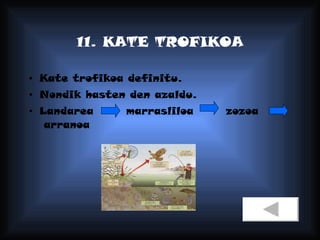 11. KATE TROFIKOA Kate trofikoa definitu. Nondik hasten den azaldu. Landarea  marrasliloa  zozoa  arranoa 