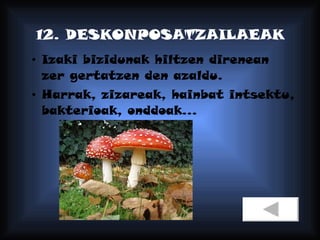 12. DESKONPOSATZAILAEAK Izaki bizidunak hiltzen direnean zer gertatzen den azaldu. Harrak, zizareak, hainbat intsektu, bakterioak, onddoak... 