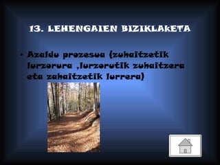 13. LEHENGAIEN BIZIKLAkETA Azaldu prozesua (zuhaitzetik lurzorura ,lurzorutik zuhaitzera eta zahaitzetik lurrera) 