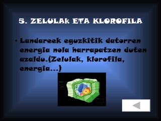 5. ZELULAk ETA KLOROFILA Landareek eguzkitik datorren energia nola harrapatzen duten azaldu.(Zelulak, klorofila, energia...) 
