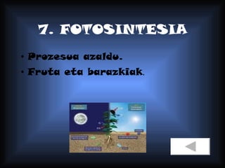 7. FOTOSINTESIA Prozesua azaldu. Fruta eta barazkiak . 