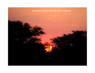 Gorongosa