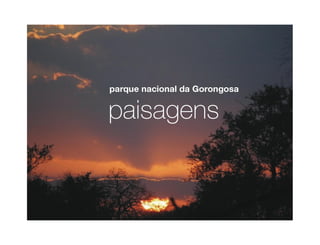 Gorongosa
